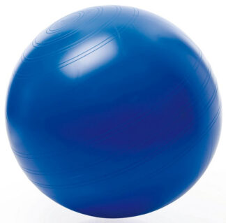 Sitzball ABS im Karton
