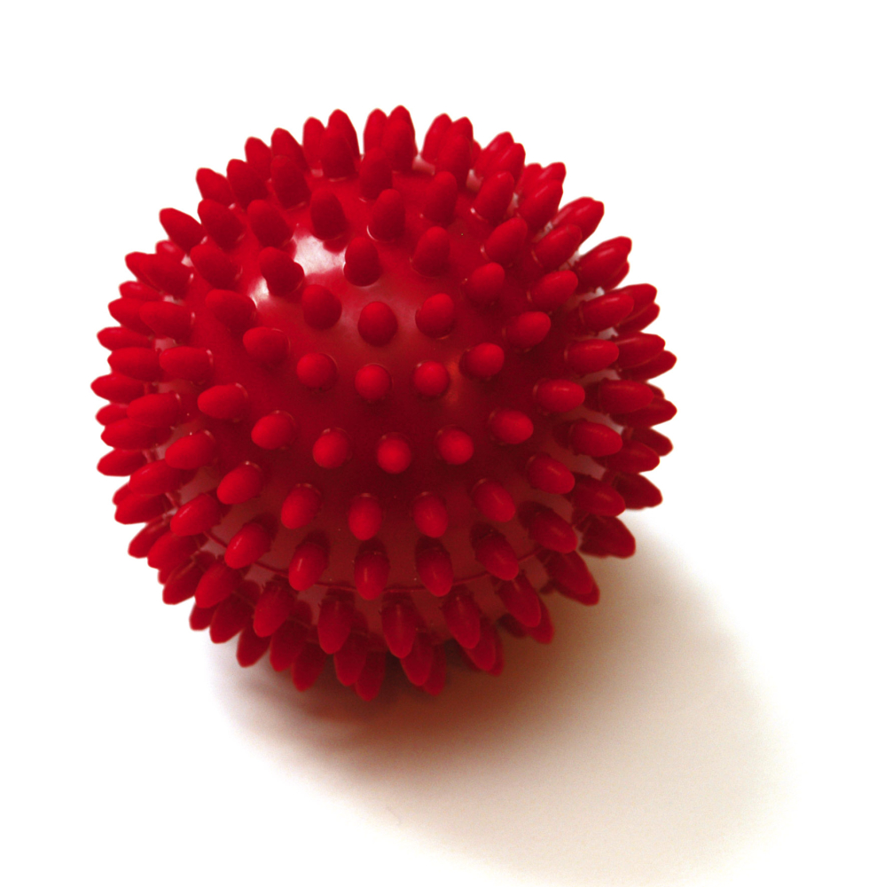 Igelball Sissel Spiky Ball – Bild 3
